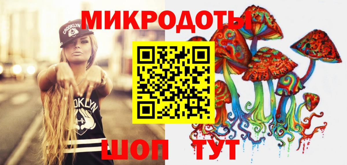 Галлюциногенные грибы Psilocybe  Вход с VPN  Заволжье  Псилоцибиновые грибы MAGIC MUSHROOMS 
