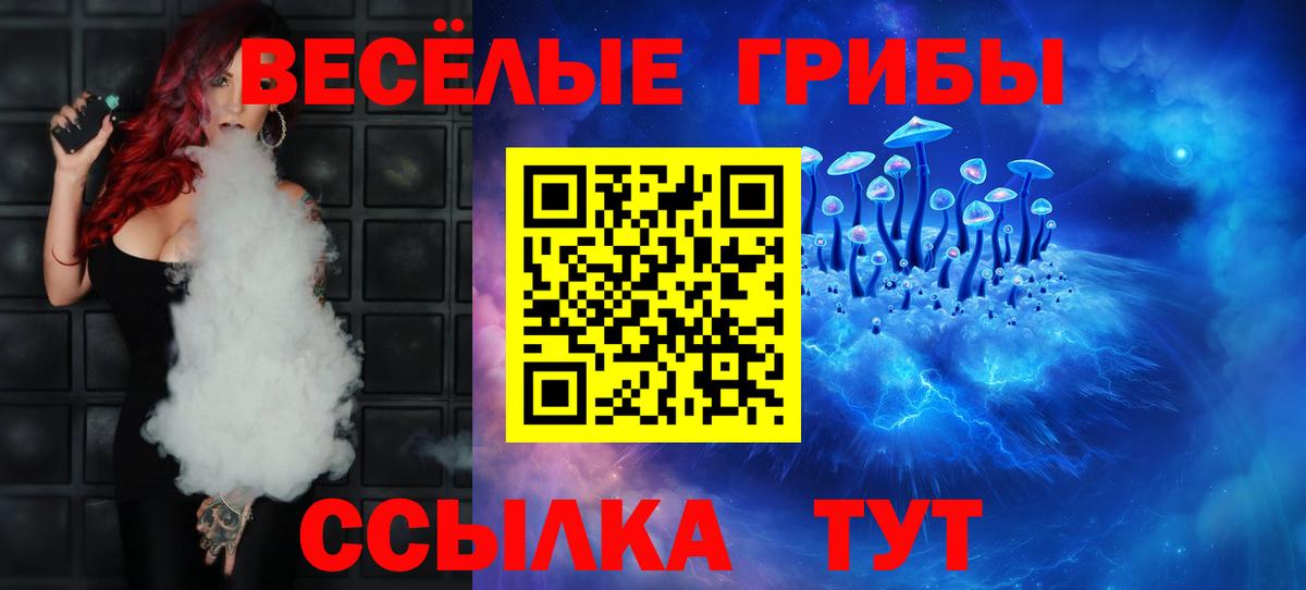 Галлюциногенные грибы Cubensis Заволжье